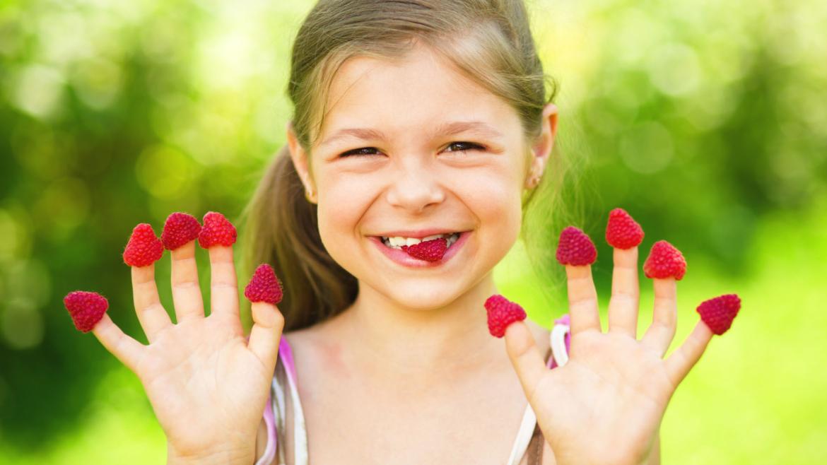Online-Seminar „Ernährungskommunikation Kinder“